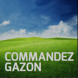 service gazon mobile